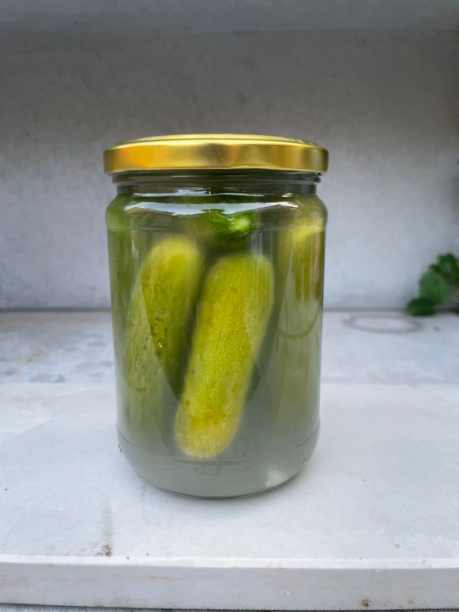 מלפפון חמוץ חריף