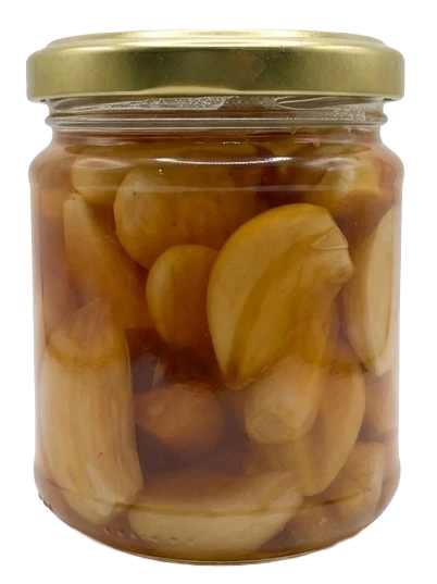 שום מותסס בדבש